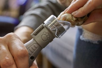 Dremel® 7020 Evcil Hayvan Tırnak Bakım Kiti