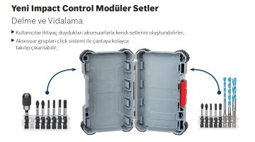 Bosch - Impact Control Serisi Çift Taraflı Vidalama Ucu 8'liT20x4/T25x4 *110mm